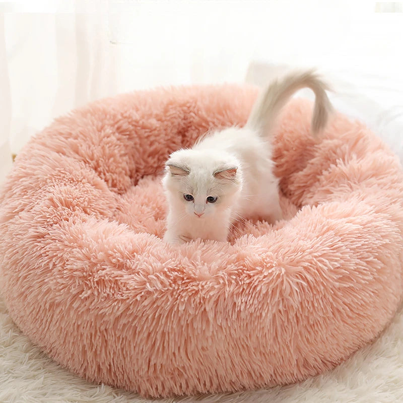 Kuschelbett für Katzen